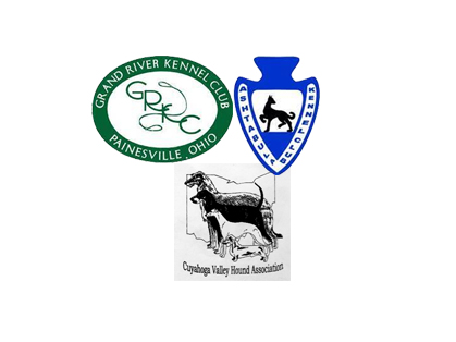 REGATTA CLUSTER & SPECIALTIES : JULY 2025